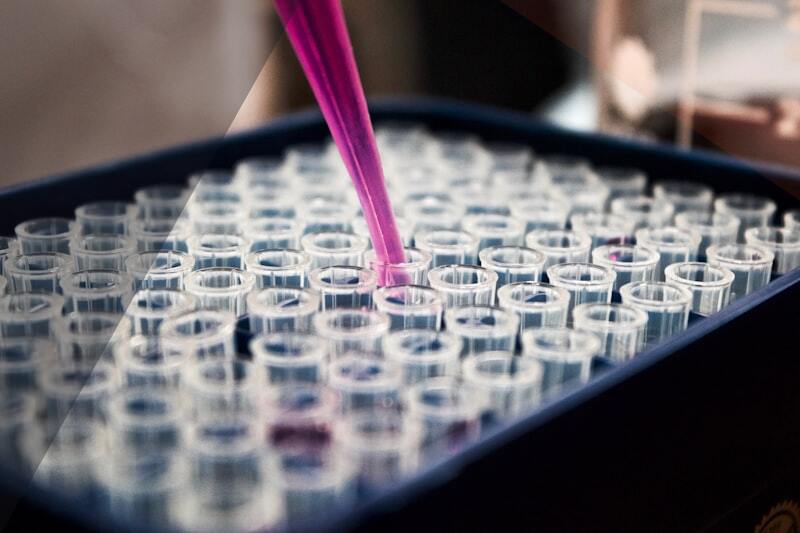 Conseil scientifique